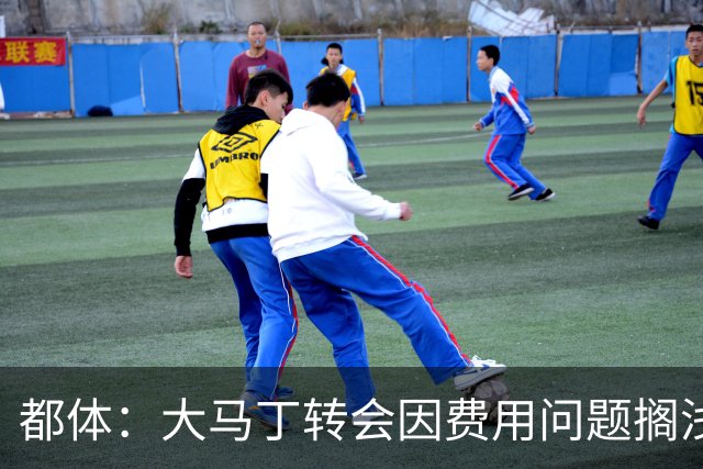 都体：大马丁转会因费用问题搁浅，尤文转而瞄准铃木彩艳维卡里奥